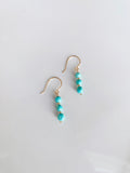 Sleeping Beauty Turquoise Earrings