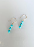 Sleeping Beauty Turquoise Earrings
