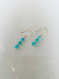 Sleeping Beauty Turquoise Earrings